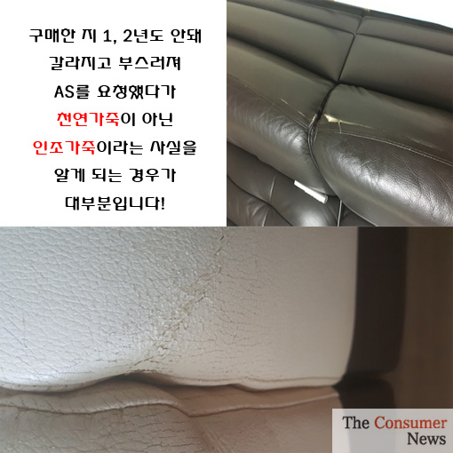 제목 없음-3.jpg 제목 없음-3.jpg