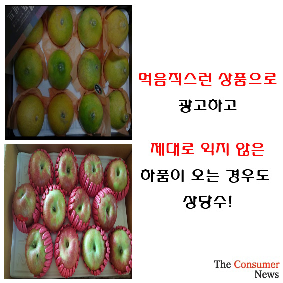 제목 없음-4.jpg 제목 없음-4.jpg