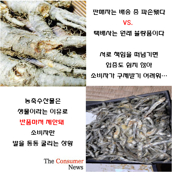 제목 없음-5.jpg 제목 없음-5.jpg