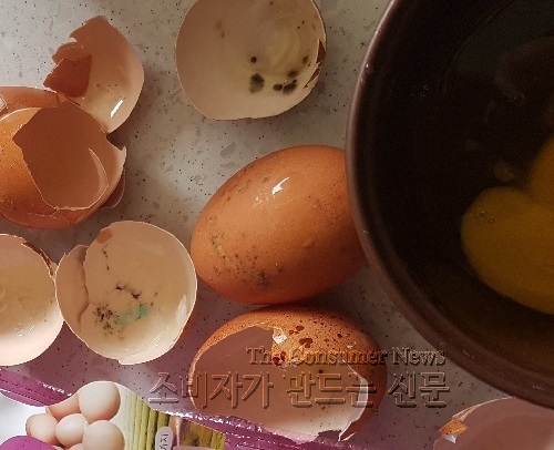 달걀.jpg 달걀.jpg