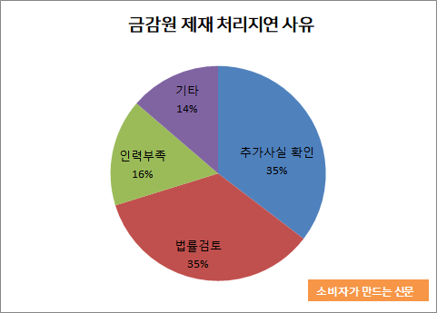 금감원 제재 처리지연 사유.png 금감원 제재 처리지연 사유.png
