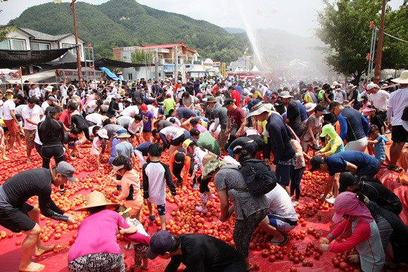 관광객들이 2018 화천 토마토축제를 즐기고 있다. 580.jpg