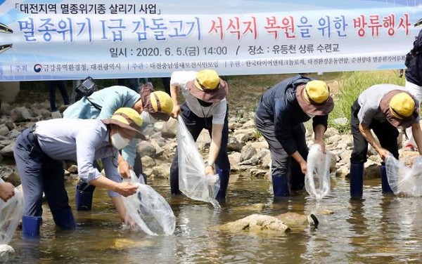 한국타이어의 대전지역 멸종위기종 살리기 활동.