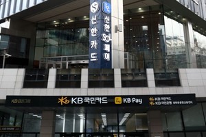 여신협회장 인선 재개로 카드사 스테이블코인 속도 붙을까...신한·국민... - 뉴스 썸네일 이미지