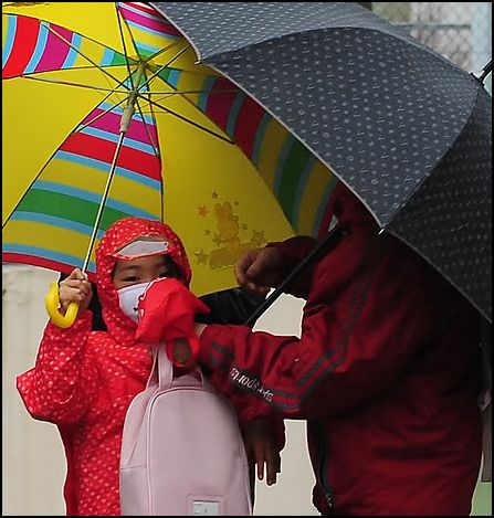 최근 전국적으로 비가 내리면서 방사성 노출에 대한 우려가 높아지고 있다.