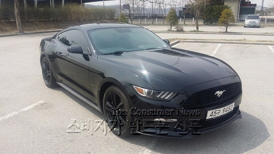 mus001.jpg mus001.jpg