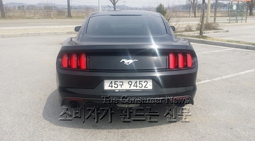 mus002.jpg mus002.jpg