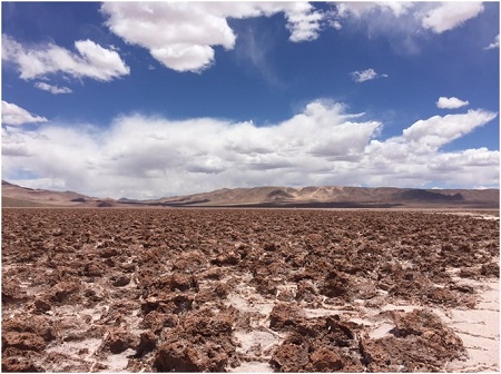 포스코 아르헨티나 리튬.jpg