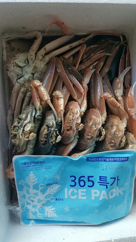 대게사진111.jpg 대게사진111.jpg