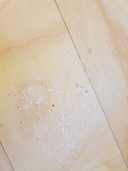 라텍스 흰가루.jpg