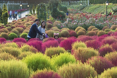 에버랜드 코키아 (1).jpg