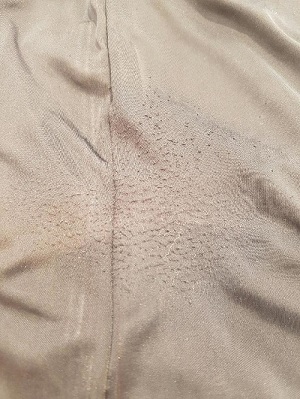 g_1117_1.jpg g_1117_1.jpg