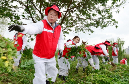 크기변환_[참고사진②] 밤섬 사회공헌활동 가시박 제거.JPG