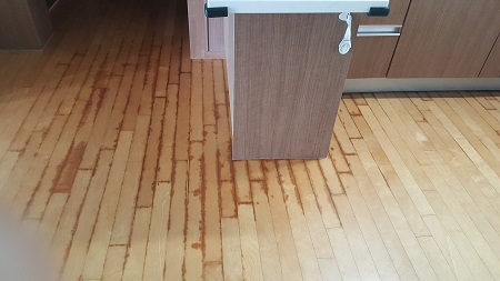 코디실수 정수기.jpg