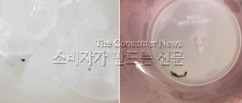 검정.jpg