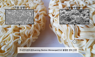 기존 건면과 면 조직 비교 사진.jpg