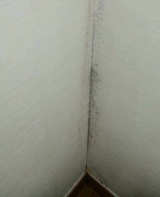 KakaoTalk_20180314_130049551.jpg KakaoTalk_20180314_130049551.jpg