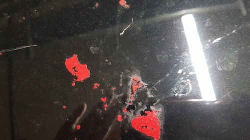 크기변환_[노컷영상] (2).jpg