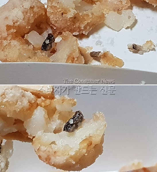 노컷.jpg 노컷.jpg