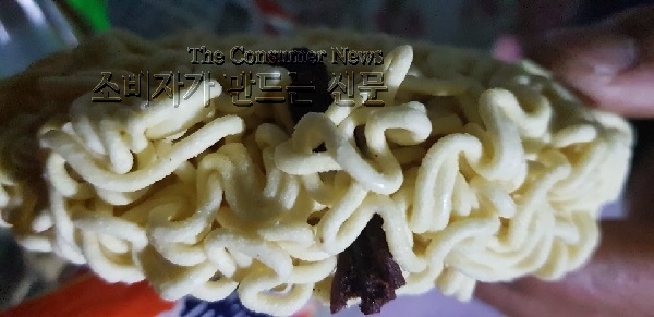 노컷.jpeg 노컷.jpeg
