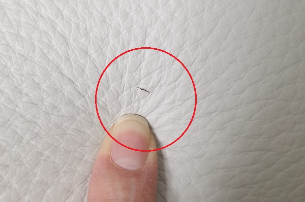 cut2.jpg cut2.jpg