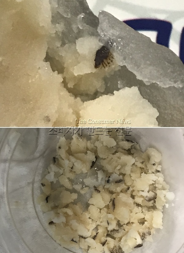 노컷본문.jpg 노컷본문.jpg