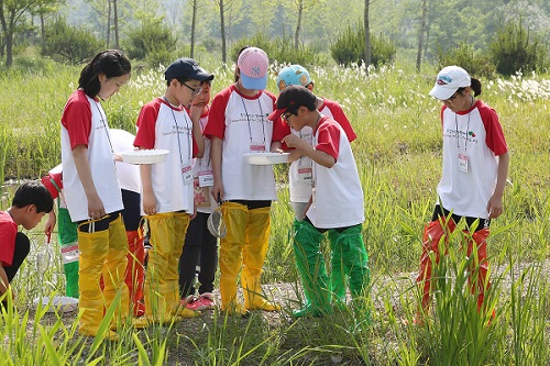 코카콜라.jpg 코카콜라.jpg