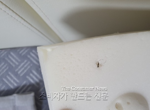 노컷 3 590.jpg 노컷 3 590.jpg