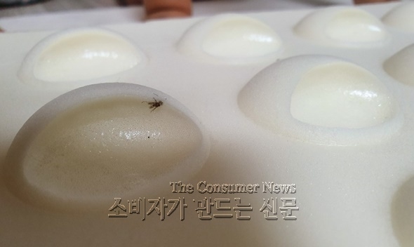 노컷 2 590.jpg 노컷 2 590.jpg