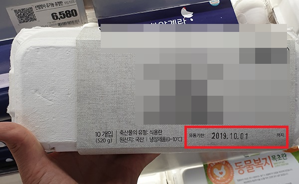 식용란1.jpg
