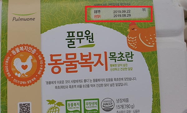 식용란2.jpg