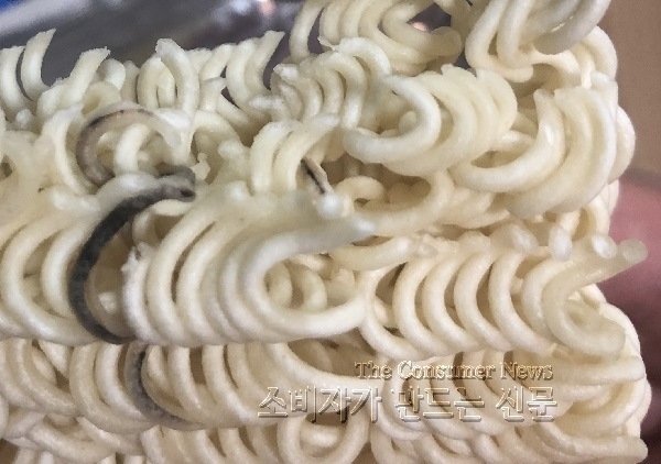 노컷영상1.jpg