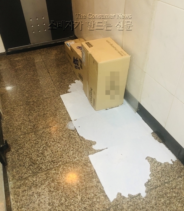 노컷.jpg