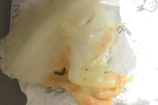 햄버거1.jpg 햄버거1.jpg