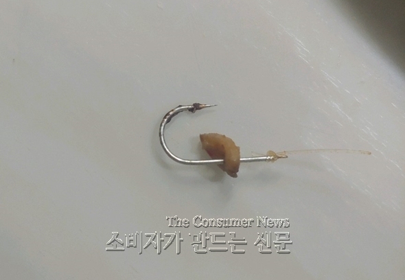 590 노컷.jpg