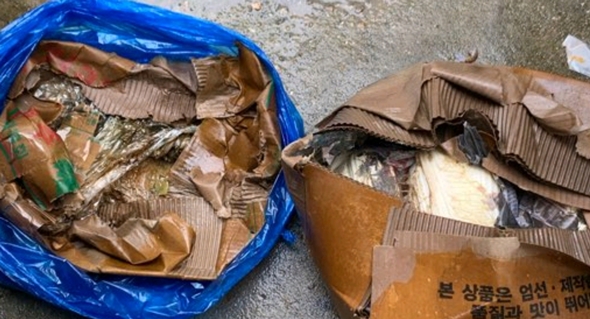 기사 사진 1.jpg 기사 사진 1.jpg
