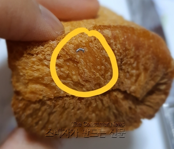 590 노컷.jpg