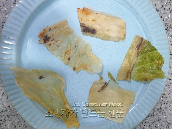 노컷 590.jpg 노컷 590.jpg