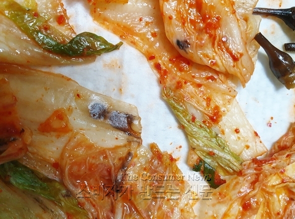 노컷 1.jpg 노컷 1.jpg