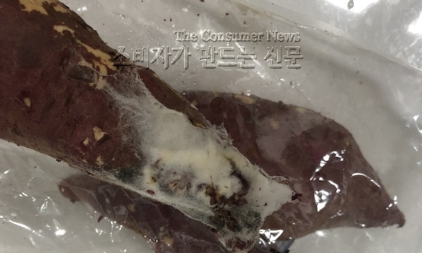 고구마.jpg 고구마.jpg