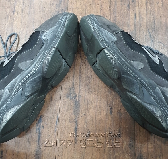 노컷 590.jpg