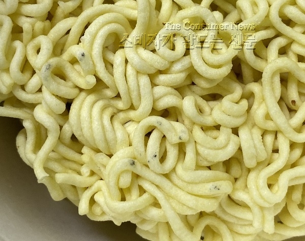 노컷.jpeg 노컷.jpeg