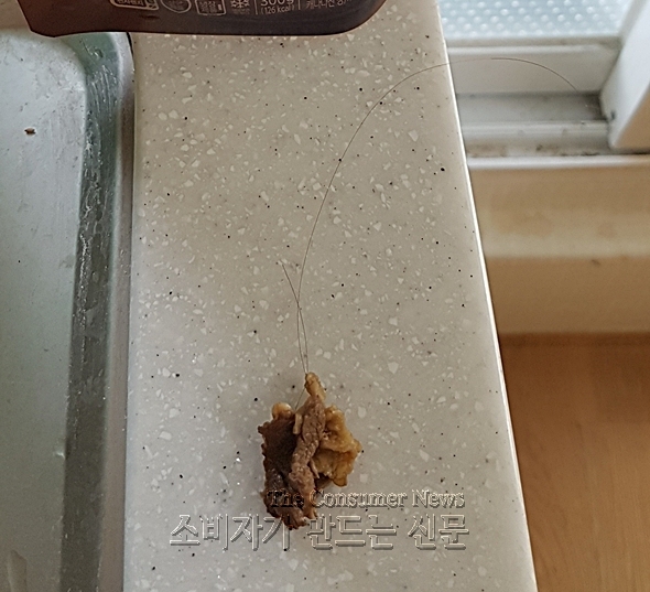 노컷.jpg 노컷.jpg