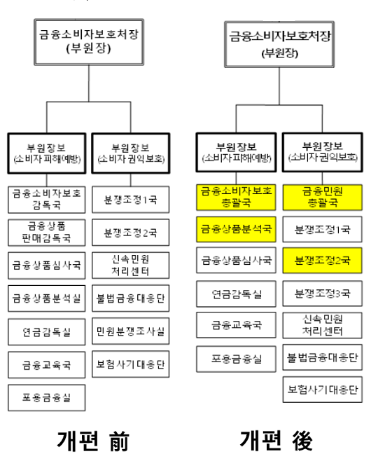 ▲ 금융소비자보호처 산하 부서 현황. 노랑색으로 칠한 부서는 이번 조직개편을 통해 신설된 부서