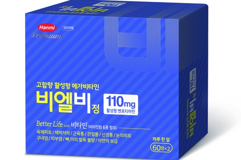 비엘비정