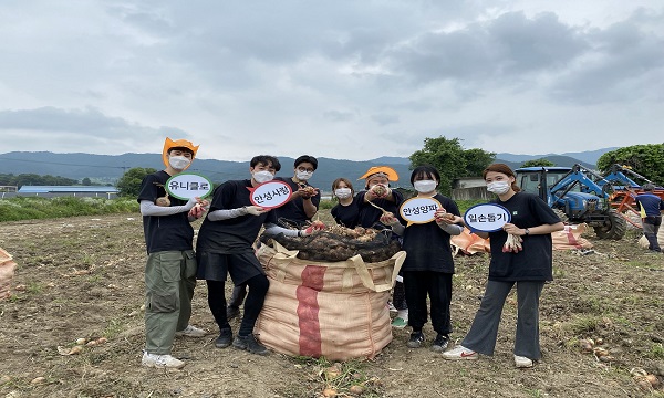 ▲유니클로 안성지역 매장 직원들이 농가 일손을 도우며 기념촬영을 하고 있다.