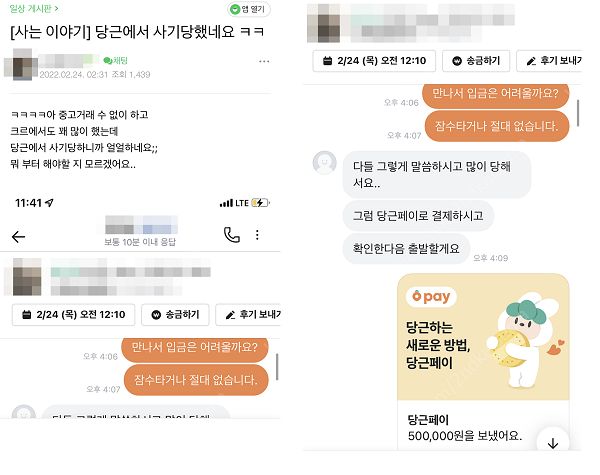 ▲한 이용자가 당근페이로 선입금을 했다가 피해를 봤다고 호소했다. (출처 - 온라인 커뮤니티)