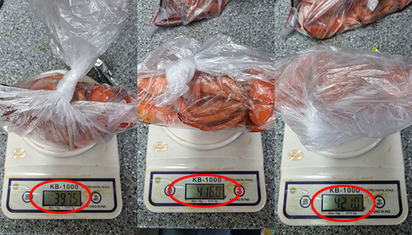 ▲랍스터 500g 이상이라더니 실제 저울에 달아보니 400g 이하여서 소비자가 불만을 토로했다