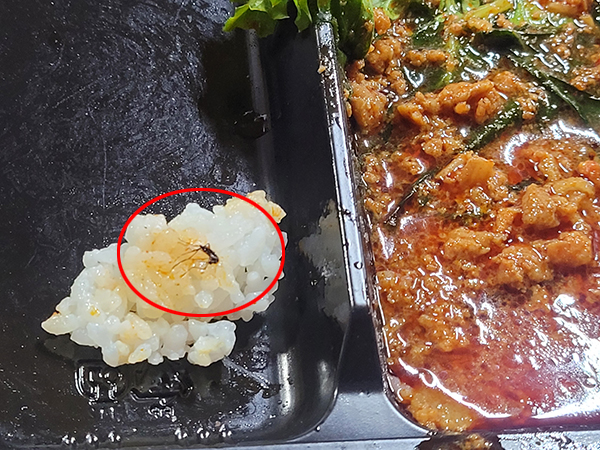 ▲ 편의점 PB 도시락에서 죽은 모기가 발견됐다. 