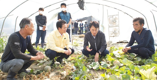 ▲ 손병환 농협금융지주 회장(오른쪽에서 두 번째)은 지난 6일 태풍 힌남노로 인한 경남지역 피해상황을 점검하고 과수 피해 농가를 위문 방문했다.